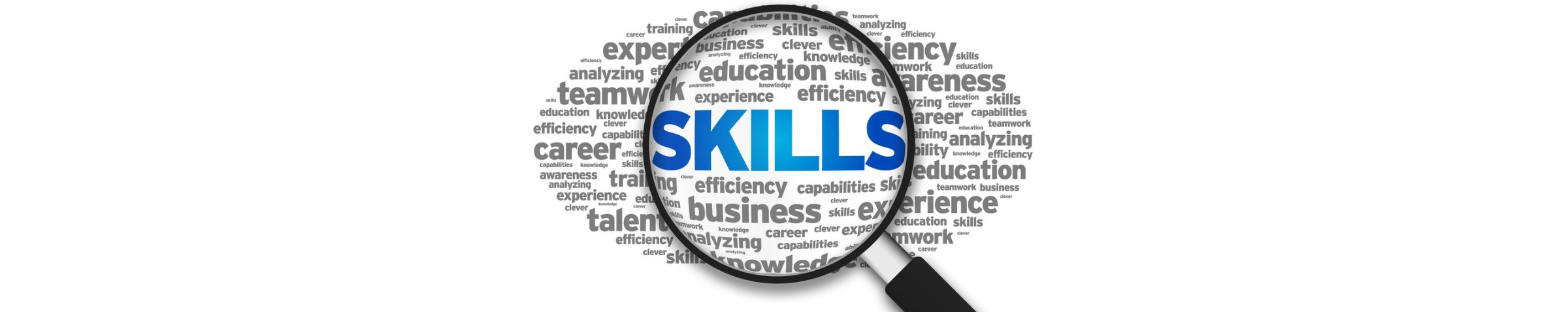 Guidelines to identify skill needs