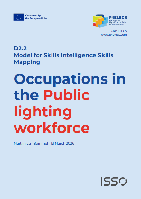 Occupations in the Public lighting workforce