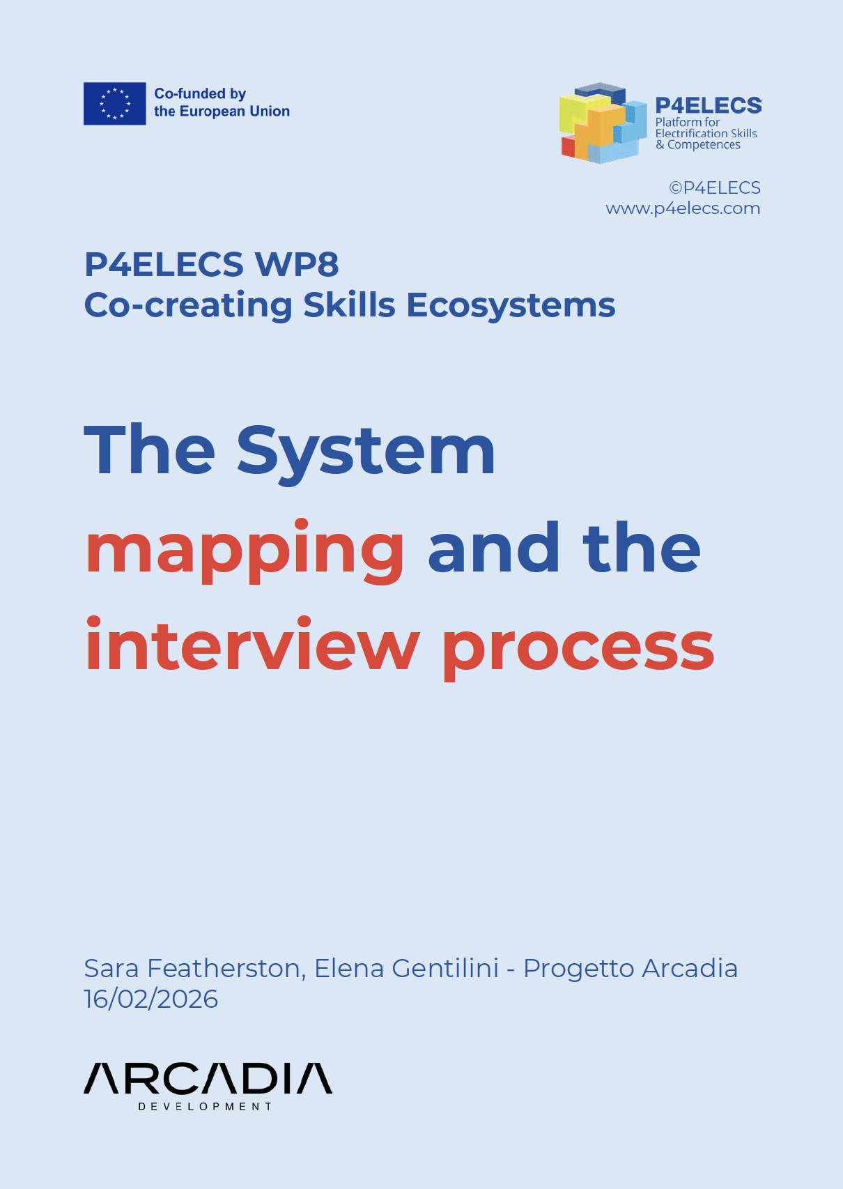 The System mapping and the interview process